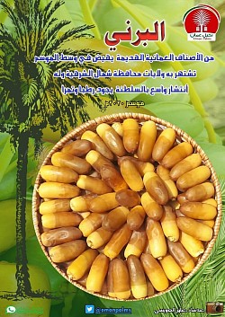 البرني