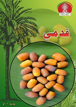 قدمي