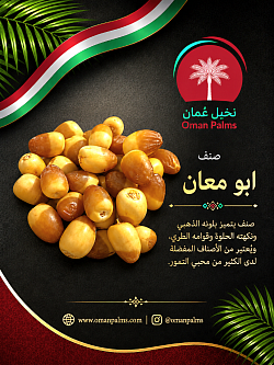أبو معان